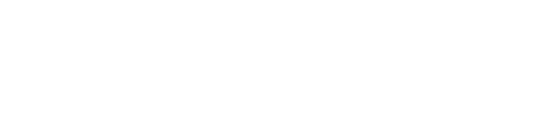 GEMMYMEDICAL-GEMMYTEC GROUP SINCE 2009
